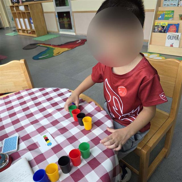 Attention Focus and Fair Play Rule Support for EY learner.