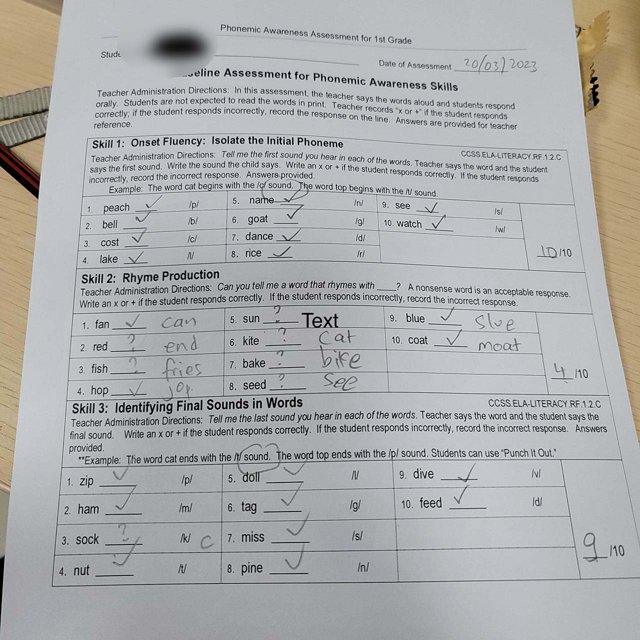 Phonemic Awareness Assessment