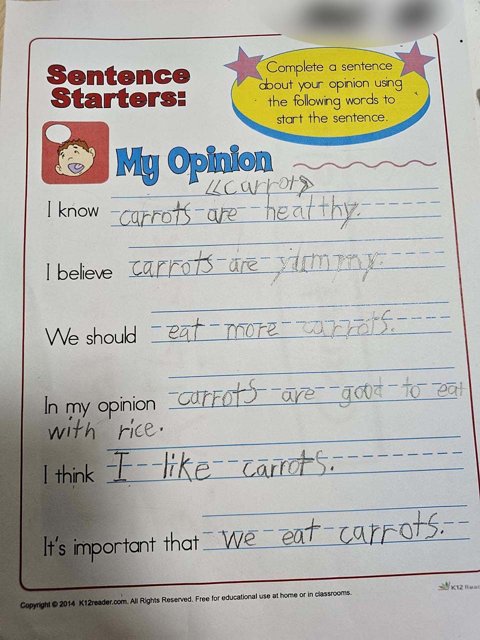 Using Sentence Starters to Help Student Write a Paragraph